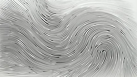 Abstract fingerprint lines flowing in wave pattern, hand drawn digital back.. Stock Footage 341429236