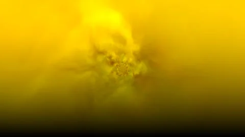 Abstract Fire Gradient Animation Stock-Footage 291076816