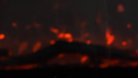 Abstract Fire Sparks Red Background. Stock Footage 319086820