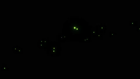 Abstract Fireflies Moving Glow Bugs Flying Stock Footage 143172319