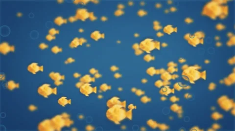 Abstract FIsh Stock-Footage 33420476