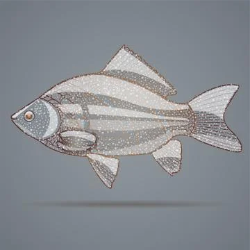 Abstract fish, Stock Illustration