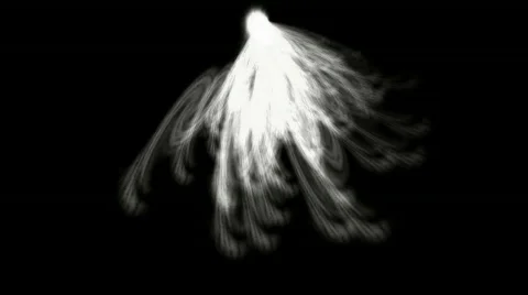 Abstract flare light feathers tail wings beam line firework fantasy background. 库存影片 837455