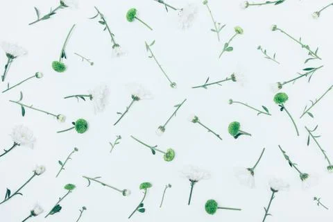 Abstract flat lay pattern of fresh flowers Stock Photos