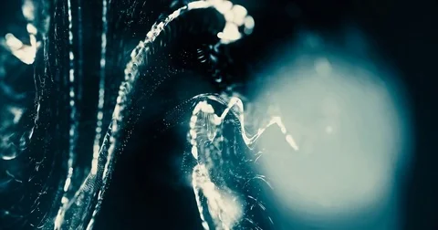 Abstract flickering light dust particles Stock Footage 81338290