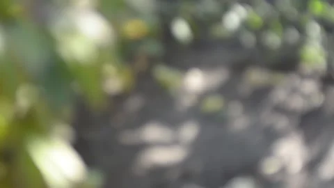 Abstract flickering light Video stock 140750363