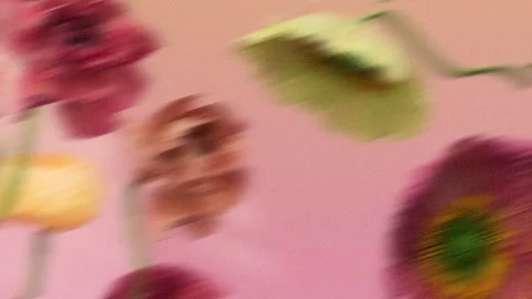 Abstract Floral Background of Blooming Gerbera Flowers with Trendy Motion B.. Stock Footage 339074737