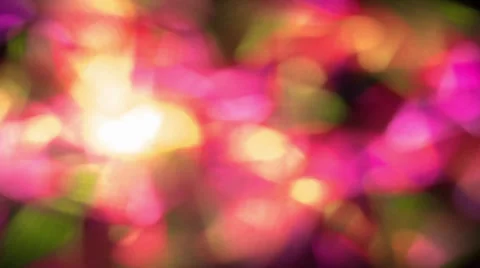 Abstract floral background Stock Footage 32038681