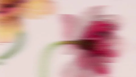 Abstract floral background with two flowers in strong dynamic motion blur a.. Stock Footage 337712987