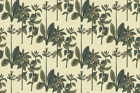 Abstract floral botanical seamless pattern vector illustration.Trendy plant.. Stock Illustration