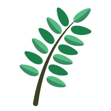 Abstract floral decorative elements - a leaf or a branch of plants. Minimalis Stockillustratie