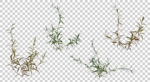 Abstract floral design elements. Nature, botanical, and fantasy style. Stock Photos