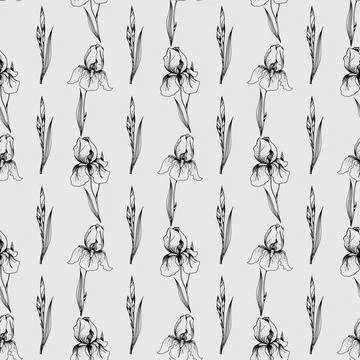 Abstract Floral iris seamless pattern. Flower background. Stock Illustration