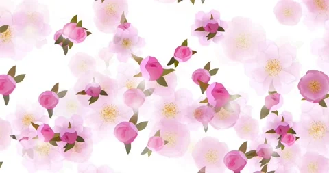 Abstract floral motion background animation of sakura cherry flowers Stock Footage 168216925