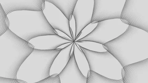 Abstract Floral Pattern with Elegant Curved Lines and Shadow Effect Stock Footage 329952205