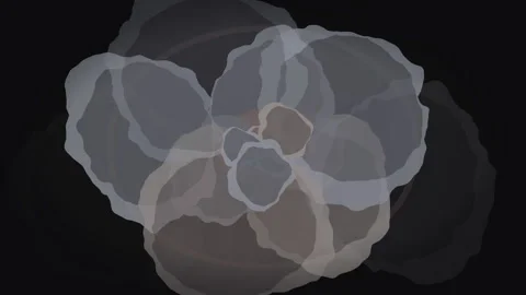Abstract floral pattern with overlapping petals, motion graphic loop Stock Footage 346735843
