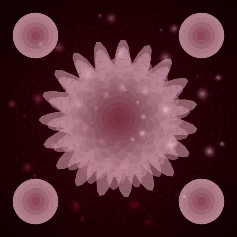 Abstract Floral Pattern: Pink and Burgundy Bloom Animation Stock Footage 346282254