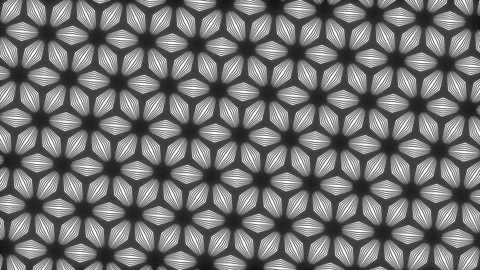 Abstract floral pattern with repeating black and white geometric flower sha.. Vídeo Stock 347584826