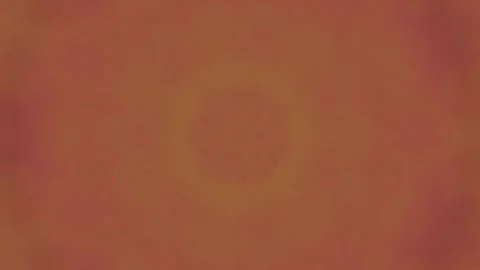 Abstract floral pattern transitions to vibrant orange background Stock Footage 325770023