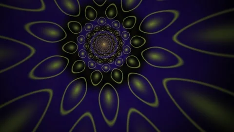 Abstract Floral Patterns in Dark Backgrounds. Stock Footage 339987570