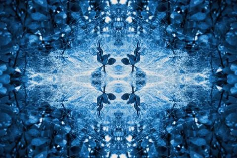 Abstract Floral Seamless Mirror Pattern With Blue Leaves And Web Foto stock