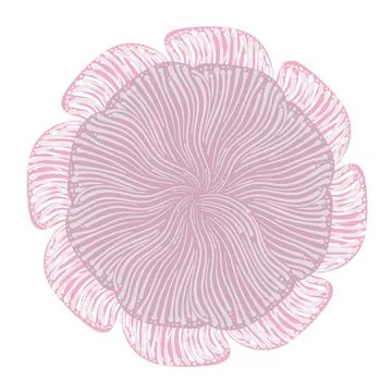 Abstract floral shape. Vector graphic design element. Stock Illustration