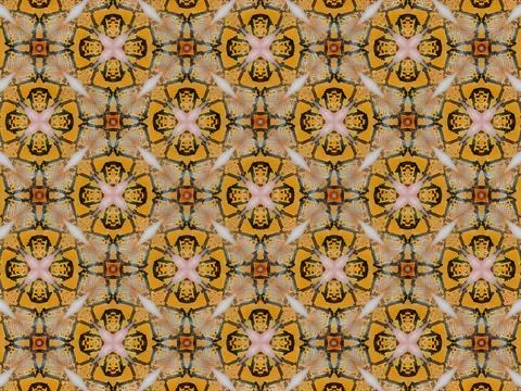 Abstract Floral Star Pattern from Python Snake Scales Stock Illustration