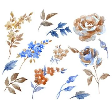 Abstract floral vector set 스톡 일러스트