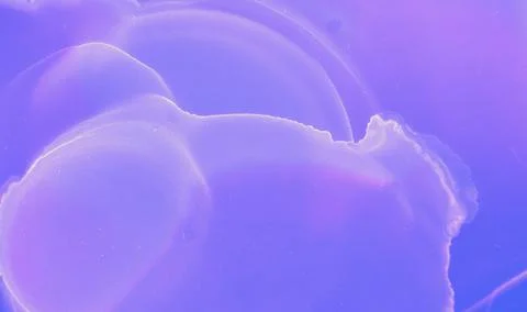 Abstract Flow Gradient. Pink Watercolor Modern Stock Illustration