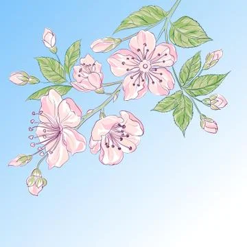 Abstract flower background Stock Illustration