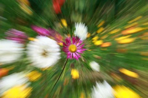 Abstract flower background Stock Photos