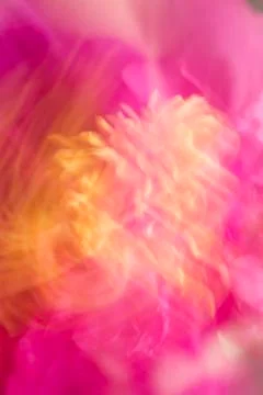 Abstract flower background Foto stock