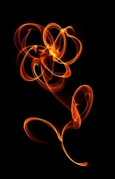 Abstract flower on black background Stock Illustration