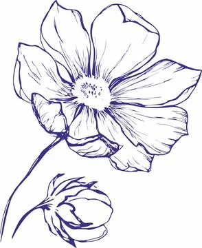 Abstract flower in continuous line art drawing style. Black linear sketch iso Stock Illustration