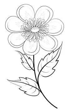 Abstract flower, contours Stock Illustration