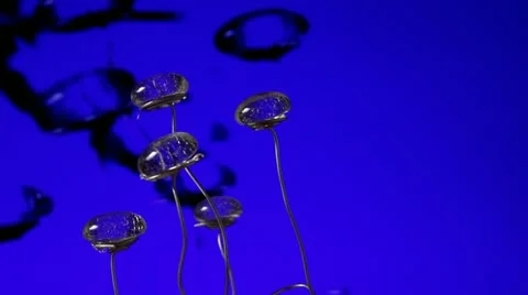 Abstract flower Stock Footage 21165231