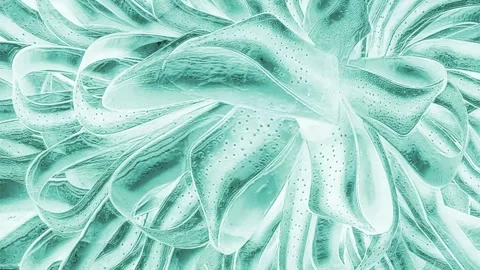 Abstract Flower Stock Footage 289112073