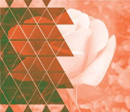 Abstract flower geometric background with triangles, water waves blurred back Illustrazione stock