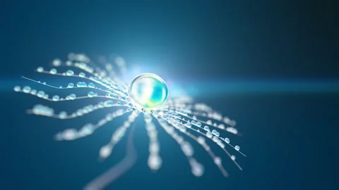 The abstract flower made of transparent spheres diffuses light and waves. The Video stock 195200538
