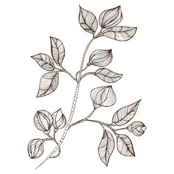 Abstract flower pattern Stock Illustration