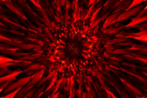Abstract flower Stock Photos