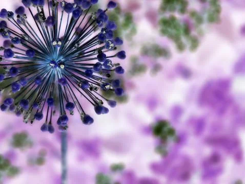 Abstract flower Stock Photos