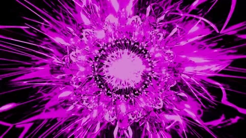 Abstract Flower Pink Background  Animation Loop Stock Footage 281296677