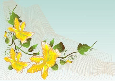 Abstract flower of pumpkin Stock Illustration