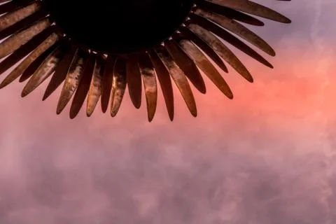 Abstract flower sunset Stock Photos