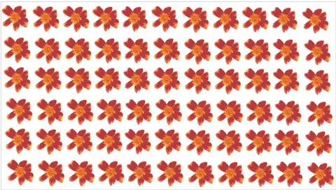 Abstract flower vector red orange flowers pattern drawing vectors Stock Illustration