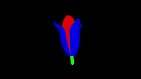 Abstract Flower in Vibrant Red, Blue, and Green Colors on Black Background 스톡 동영상 341921490