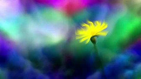 Abstract Flowers Background Loop Stock-Footage 90831361