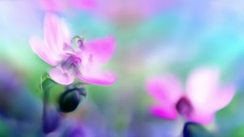Abstract Flowers Background Loop 库存影片 90994700