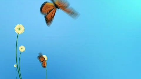 Abstract flowers with butterfly  Stock Footage 677713